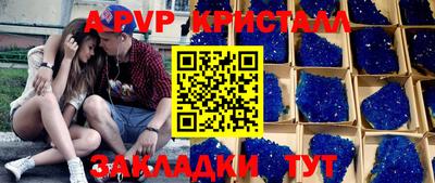 шишки Донской