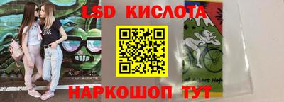 шишки Донской