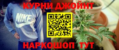 шишки Донской