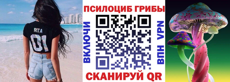 Псилоцибиновые грибы Cubensis  Якутск 