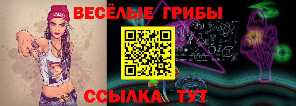 Якутск  Галлюциногенные грибы мицелий  Псилоцибиновые грибы MAGIC MUSHROOMS  Вход с VPN 